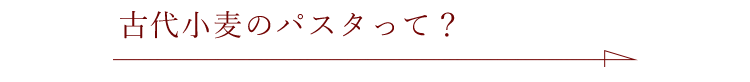 古代小麦のパスタって