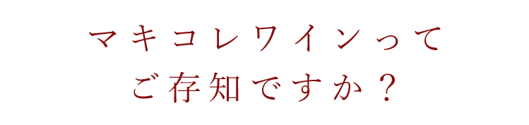 エッフェランチコース